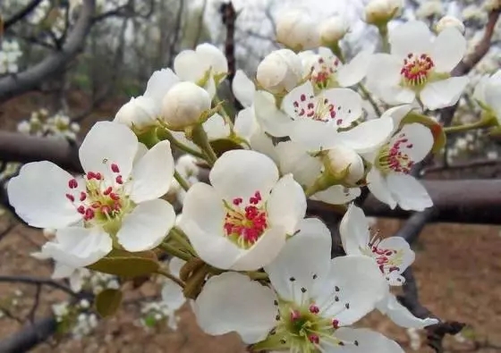 http://www.sdsanjiang.com.cn/